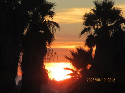 IMG_0804.JPG
