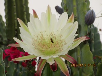 IMG_0752.JPG