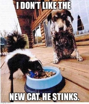 FB_IMG_1755488073310.jpg