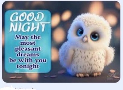  cat night Medium Large.jpeg
