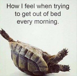 FB_IMG_1755653885106.jpg