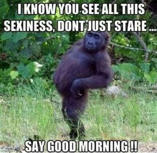 sxymorn.JPG