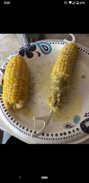 IMG_2466.jpeg