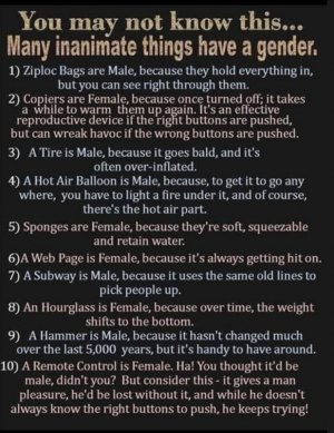 male v female.jpg