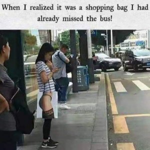 IMG_2474.jpeg