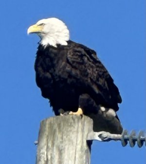 IMG_6482.jpeg