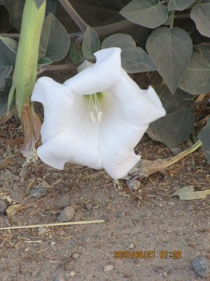 IMG_0850.JPG