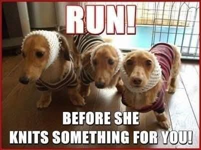 FB_IMG_1755744160915.jpg