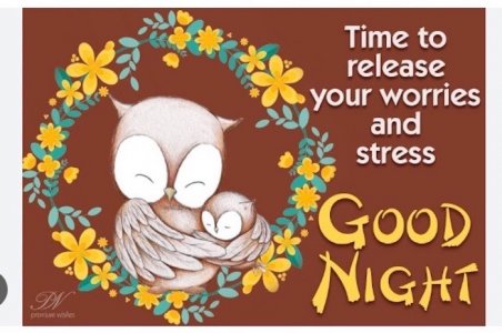 Good Night stress Large.jpeg