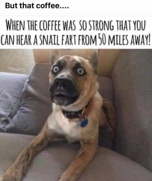 FB_IMG_1755663771838.jpg