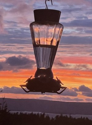IMG_6776.jpeg
