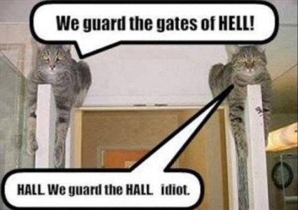 IMG_2483.jpeg