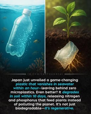 082225plastic.jpg