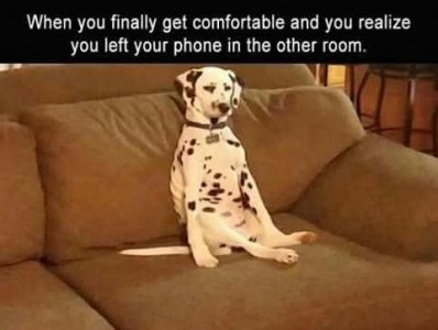 FB_IMG_1755909435644.jpg