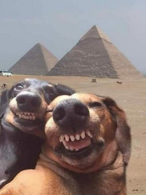 1000006290.jpg