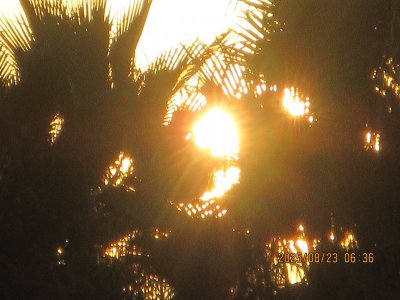 IMG_0915.JPG
