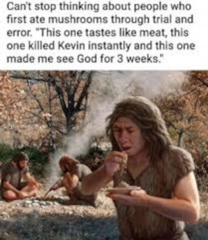 images.jpg