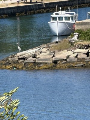 IMG_0216.jpeg