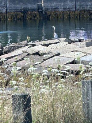 IMG_0218.jpeg