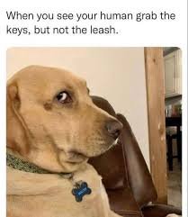 IMG_0226.jpeg