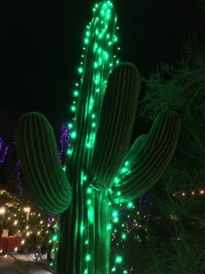 bestlights.JPG