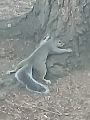 20250823_180559.jpg