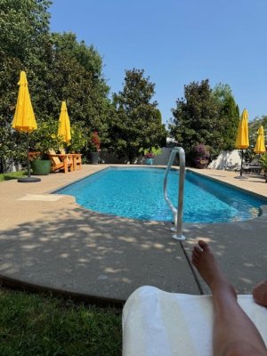 IMG_3464.jpg