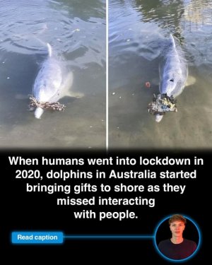 FB_IMG_1755283848637.jpg