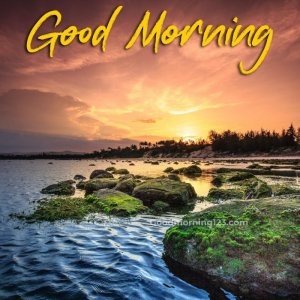Good-Morning-Nature-Image-2030335115.jpg