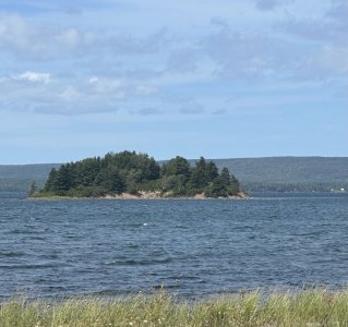 IMG_0231.jpeg