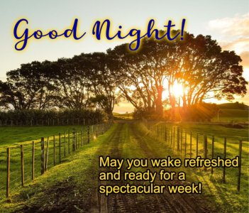 Good Night Country Road.jpg
