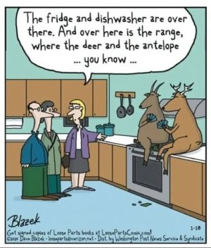 a deer and antelope joke.jpg
