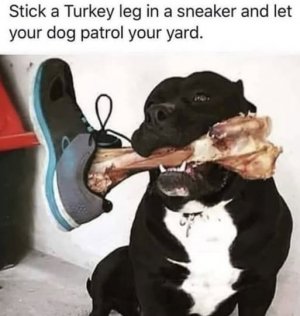 a dog patrol meme.jpg