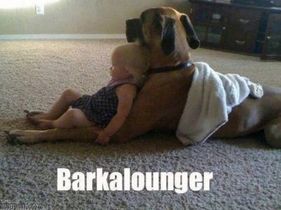 a barkalounger.jpg