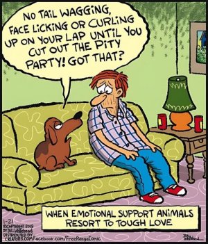 a dog tough love meme.jpg