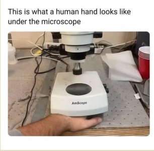 liiuy.jpg