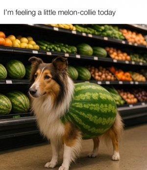 melon collie.jpg