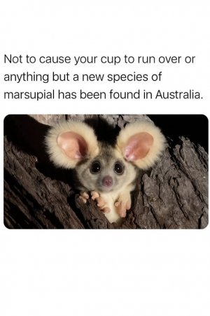 535826929_1317759303043054_6499766729426173389_n.jpg