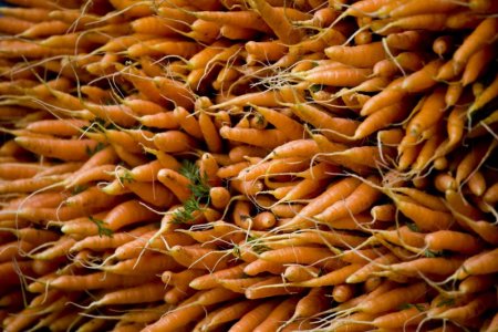 carrot 1.jpg