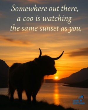 Messenger_creation_ACD46A20-80EA-4B2E-B929-2DED08573977.jpeg