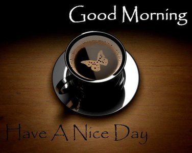 good-morning-have-a-nice-day-wishes-quotes-wallpaper-preview-3824791315.jpg