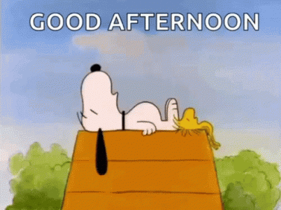 good-afternoon-sleeping-snoopy-jdsap87mdgkrspt5-519287384.gif