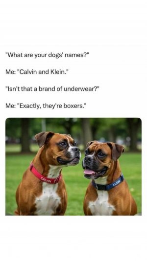 1756264170051.jpeg