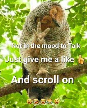 FB_IMG_1756292375144.jpg