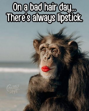 FB_IMG_1756291124899.jpg