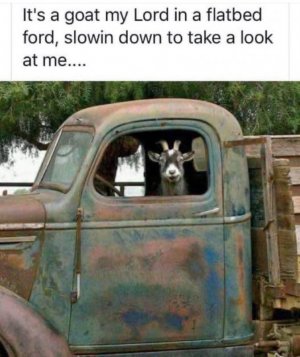 FB_IMG_1756355994855.jpg