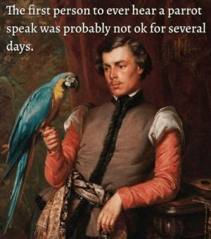 first-person-ever-hear-parrot-speak-probably-not-ok-several-days Large.jpeg