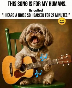 IMG_2538.jpeg