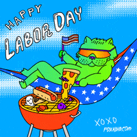 IMG_2558.gif