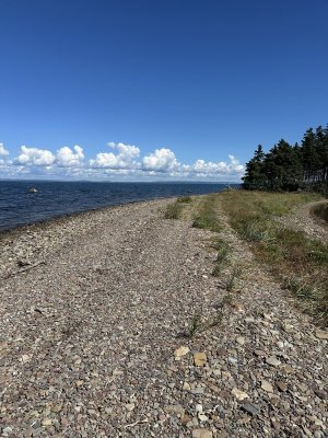 IMG_0265.jpeg